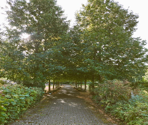 Platzhalter-Bild