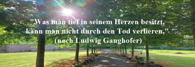 Platzhalter-Bild